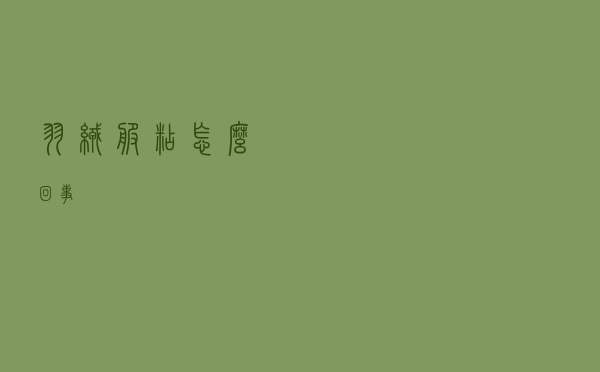 羽绒服粘怎么回事