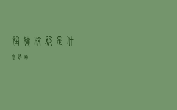 怪猎校服是什么装备