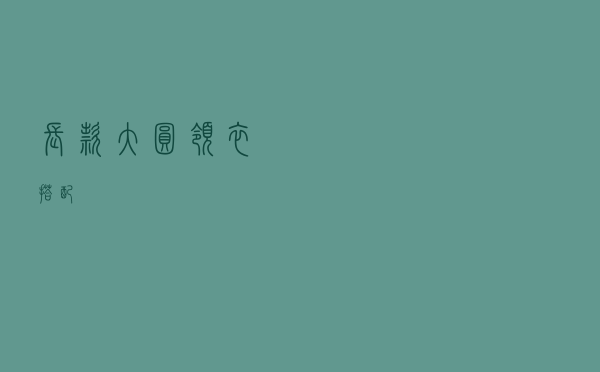 长款大圆领衣搭配