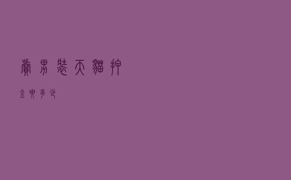 卖男装天猫押金要多少