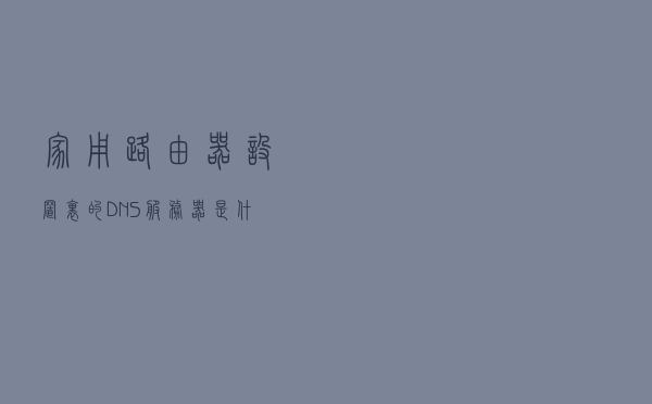 家用路由器设置里的DNS服务器是什么？有什么作用呢？