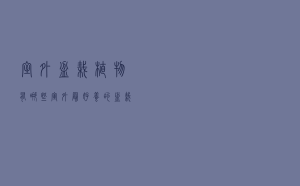 室外盆栽植物有哪些_室外最好养的盆栽有哪些品种