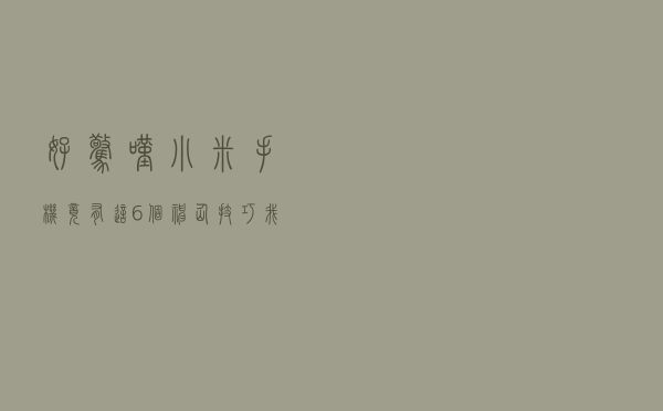 好惊叹！小米手机竟有这6个神仙技巧，我居然一无所知