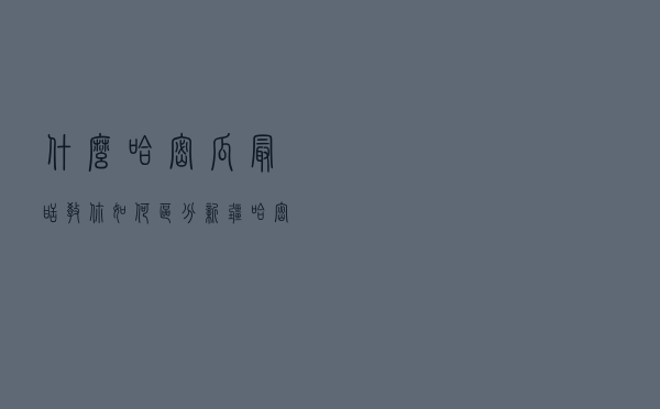 什么哈密瓜最甜？教你如何区分新疆哈密瓜，香甜多汁，一挑一个准