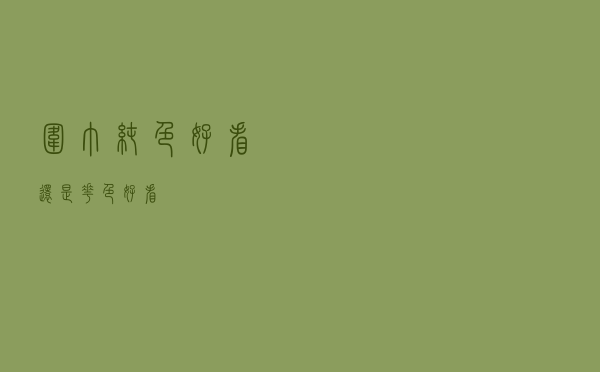 围巾纯色好看还是花色好看