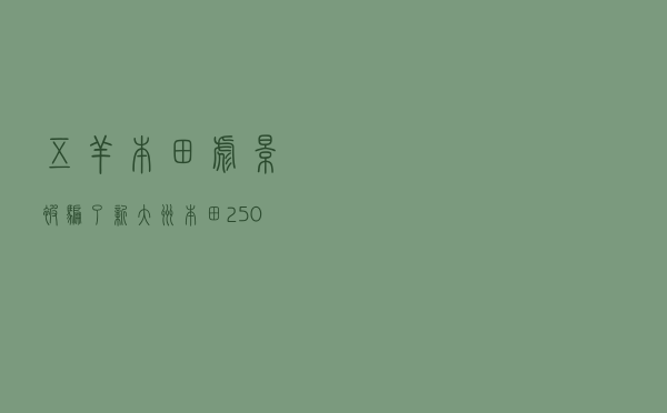 五羊本田彪影被骗了（新大洲本田250双缸）