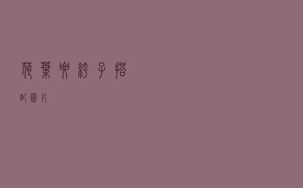 荷叶腰裤子搭配图片