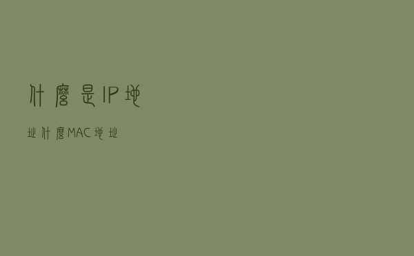 什么是 IP 地址 什么 MAC 地址