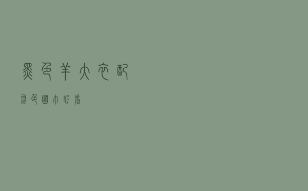 黑色羊大衣配灰色围巾好看