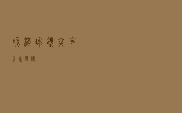 呢棒球领夹克男怎么样