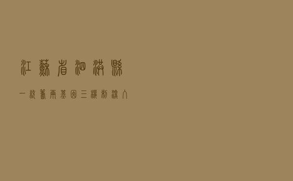 江苏省泗洪县“一统筹、两基因、三机制” 深入推进人情消费减负