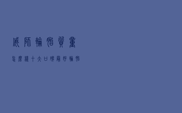威狮轮胎质量怎么样（十大口碑最好轮胎）