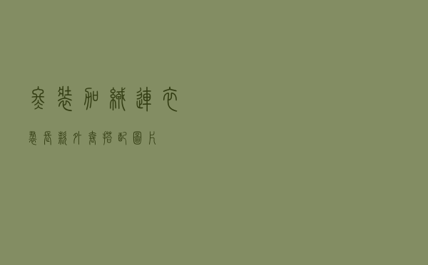 冬装加绒连衣裙长款外套搭配图片