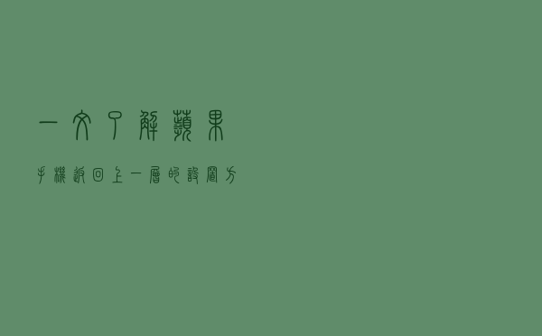 一文了解苹果手机返回上一层的设置方法