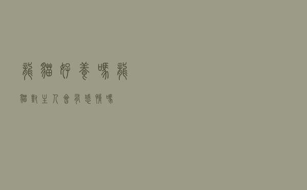 龙猫好养吗？（龙猫对主人会有感情吗）
