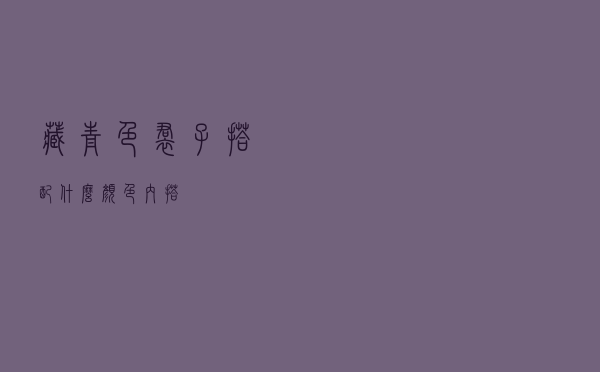 藏青色裙子搭配什么颜色内搭