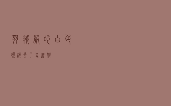 羽绒服的白色领洗黄了怎么办