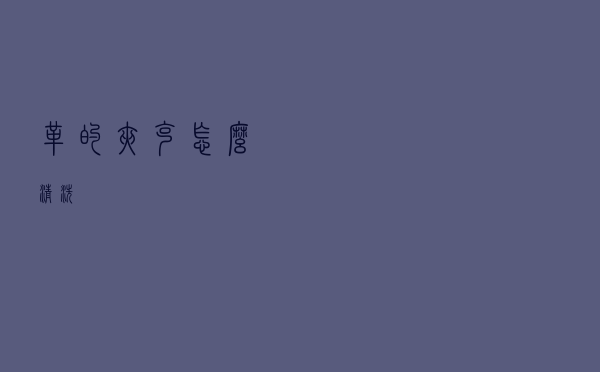 革的夹克怎么清洗