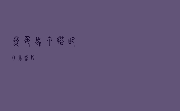 黑色马甲搭配好看图片