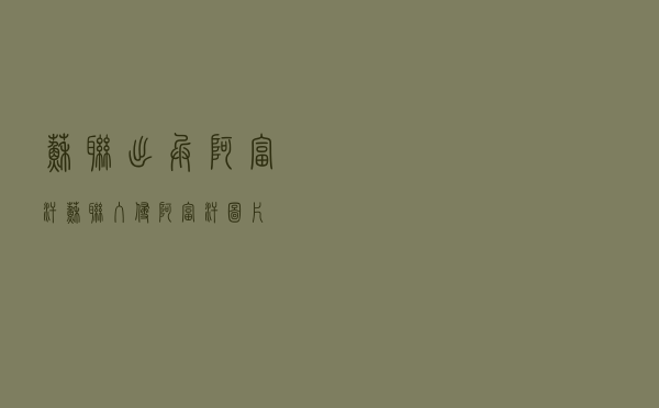 苏联出兵阿富汗「苏联入侵阿富汗图片」