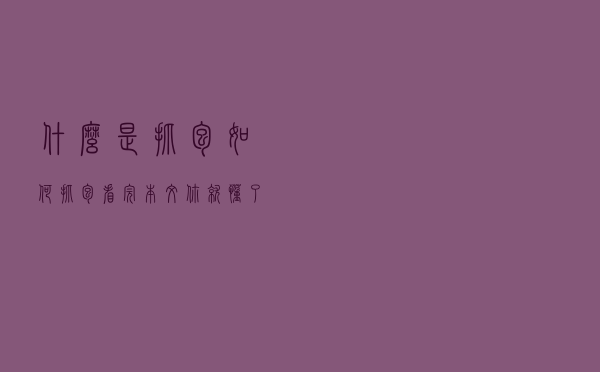 什么是抓包？如何抓包？看完本文，你就懂了