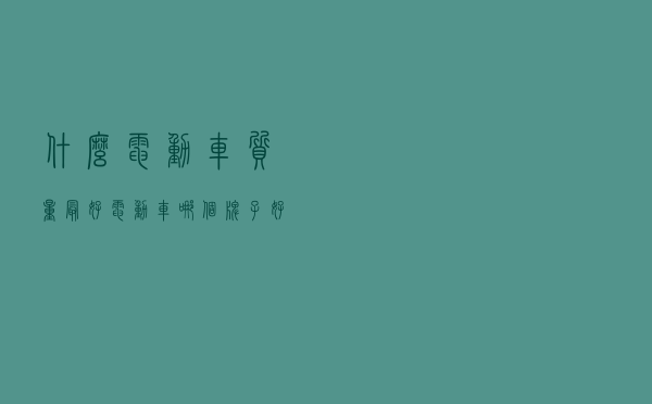 什么电动车质量最好（电动车哪个牌子好耐用）