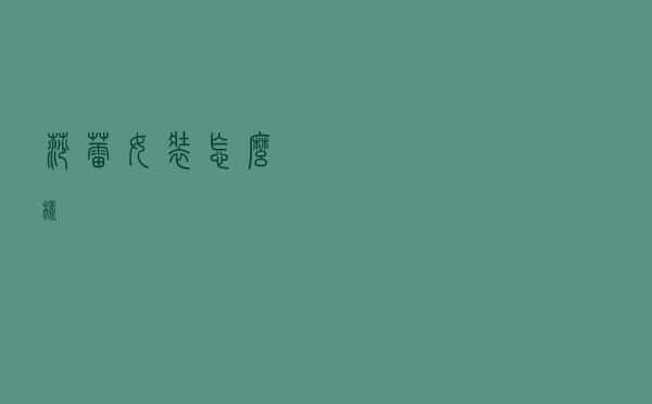 莎蕾女装怎么样