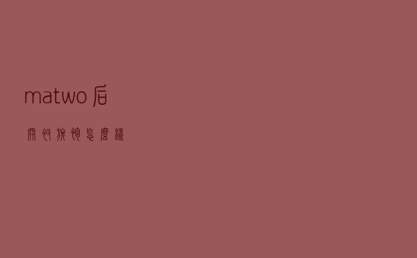 matwo后开衩旗袍怎么样