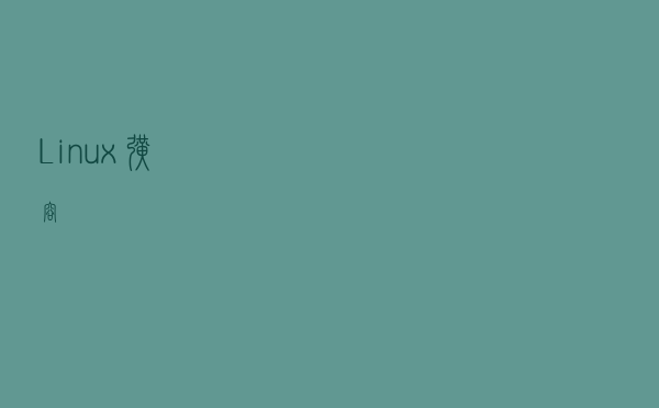 Linux 扩容