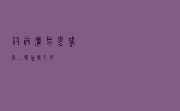 付融宝怎么贷款 - 小额贷款公司