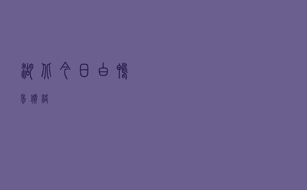 湖北今日白鸭蛋价格