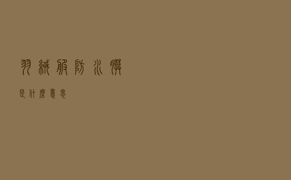 羽绒服防水膜是什么意思