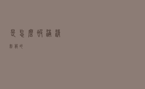 是怎么被满清制服的