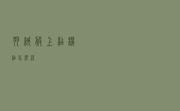 羽绒服上粘机油怎么洗