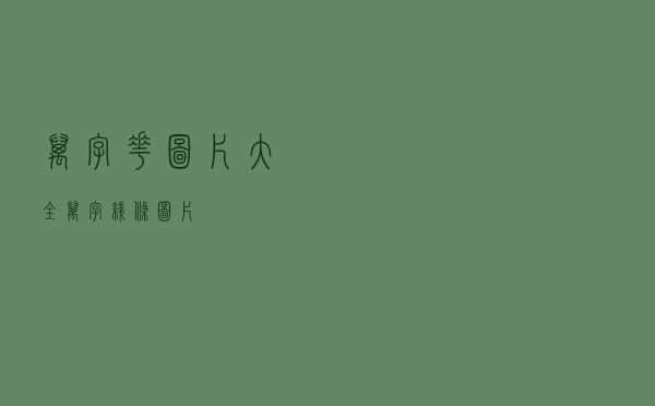 万字花图片大全 - 万字线条图片