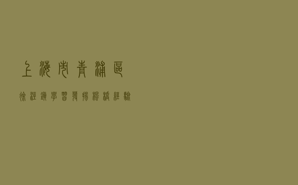 上海市青浦区徐泾镇学习发扬“枫桥经验”着力推进法治城镇建设