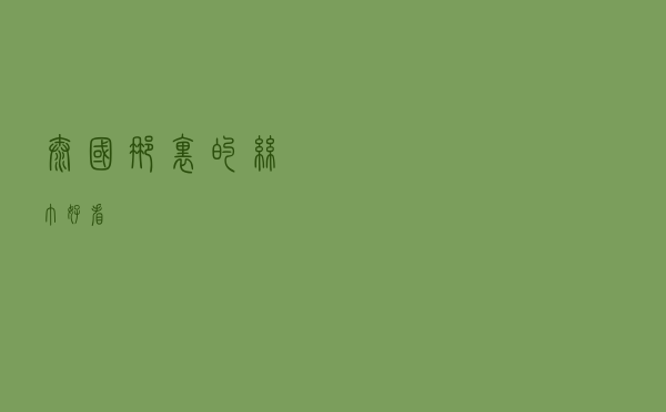 泰国那里的丝巾好看