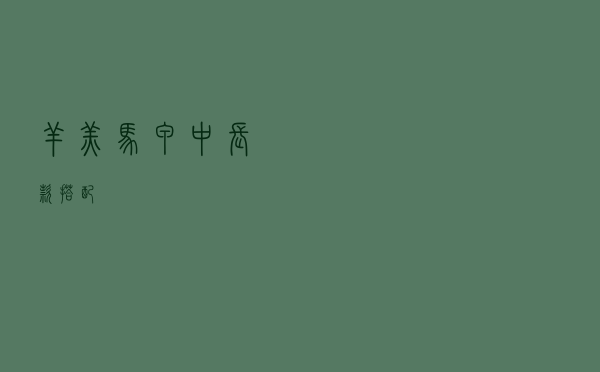 羊羔马甲中长款搭配