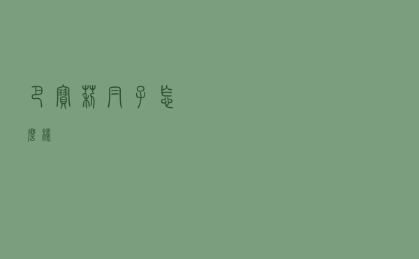 巴宝莉帽子怎么样