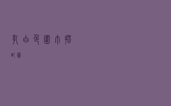 乳白色围巾搭配图