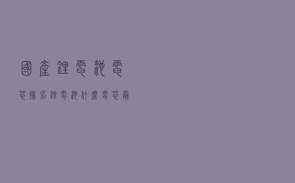国产锂电池电芯排名（锂电池什么电芯最好）