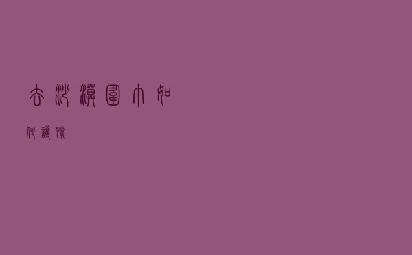 去沙漠围巾如何护脸