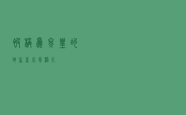 被称为冬皇的坤生（孟小冬照片）