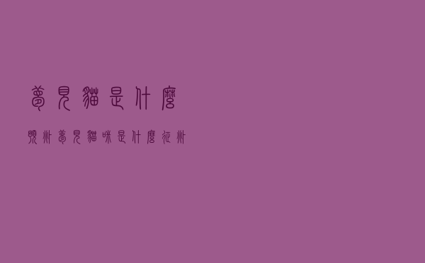 梦见猫是什么预兆「梦见猫咪是什么征兆」
