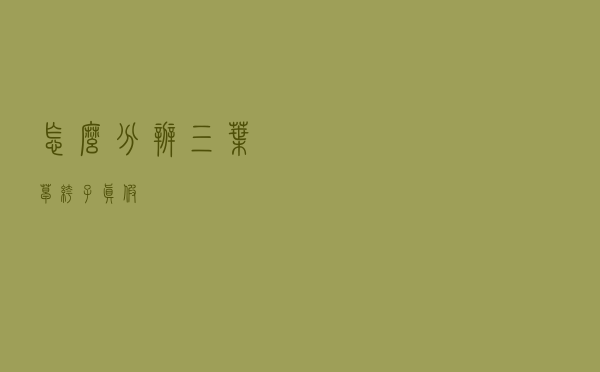 怎么分辨三叶草裤子真假