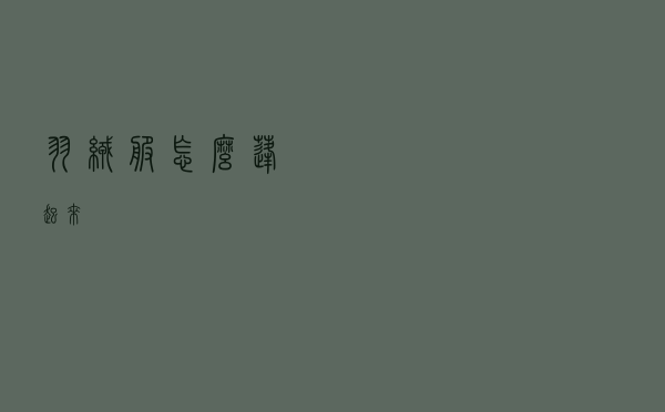 羽绒服怎么蓬起来