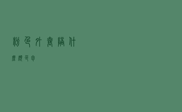粉色外套陪什么颜色包
