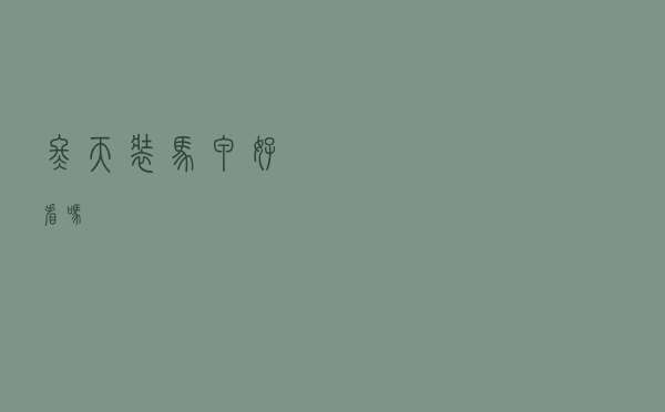 冬天装马甲好看吗