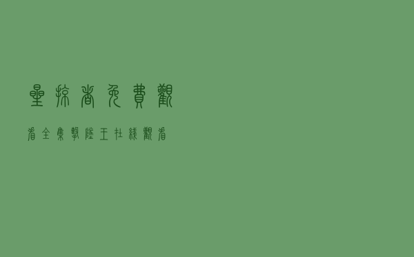 星掠者免费观看全集（击坠王在线观看）