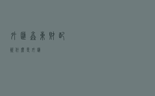 外汇鑫东财配资，什么是外汇